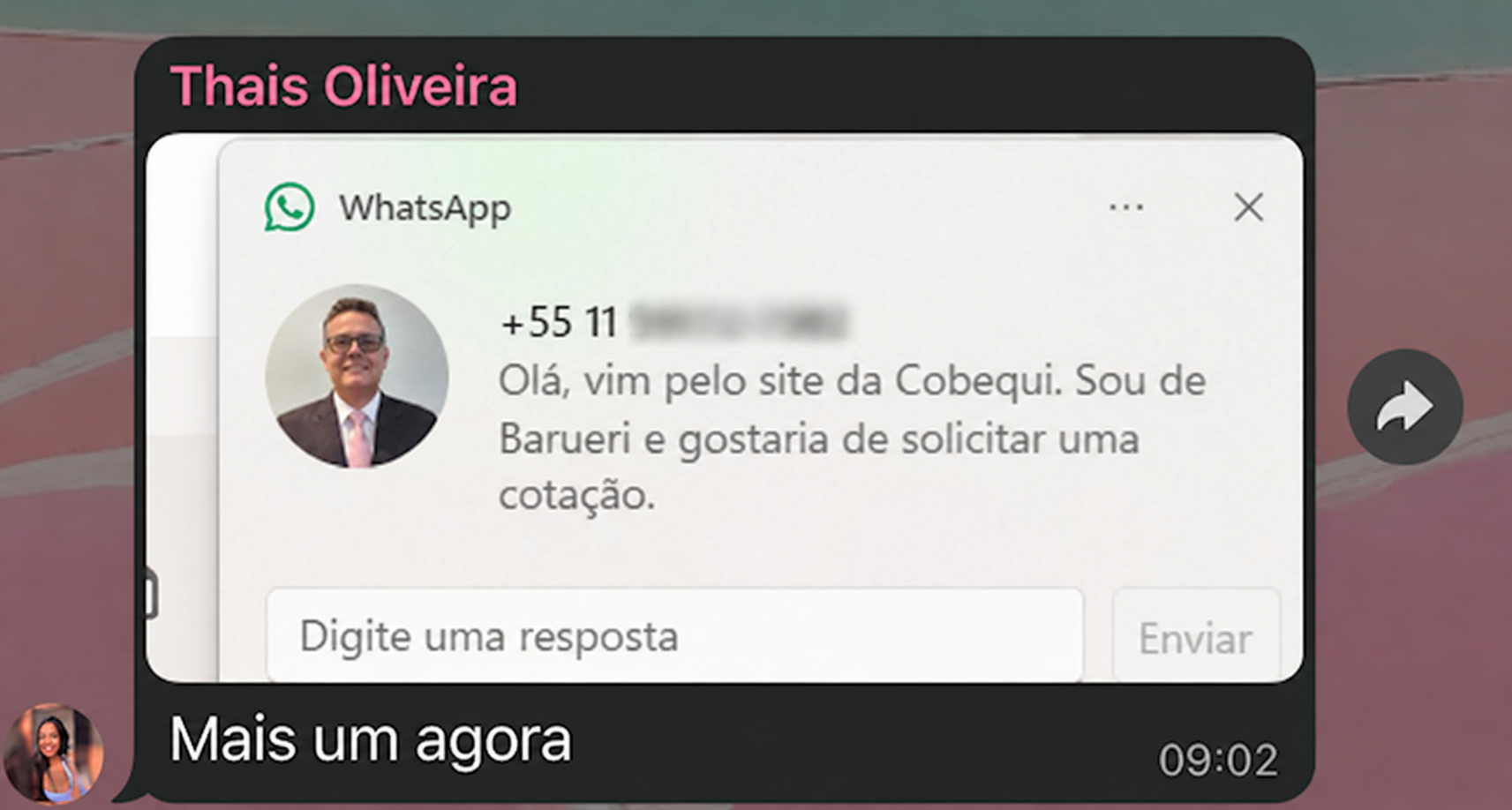 Print de mensagem recebida pelo WhatsApp após publicação do site da Cobequi